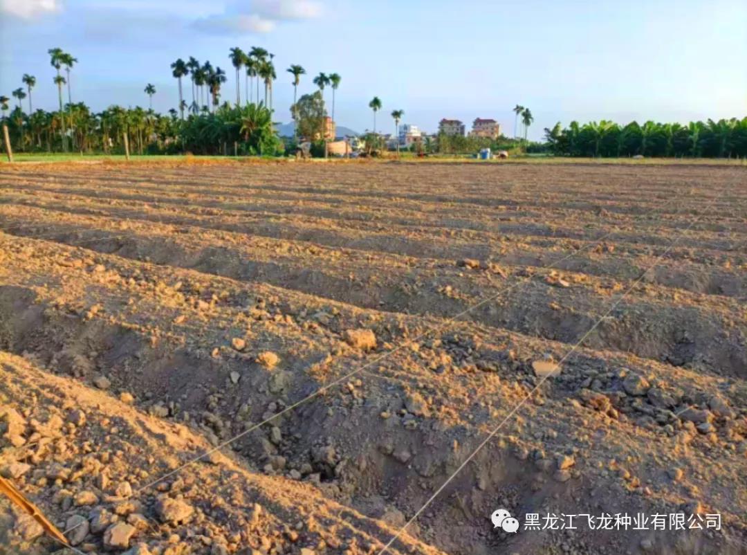 1640653826309011.jpg 7.jpg