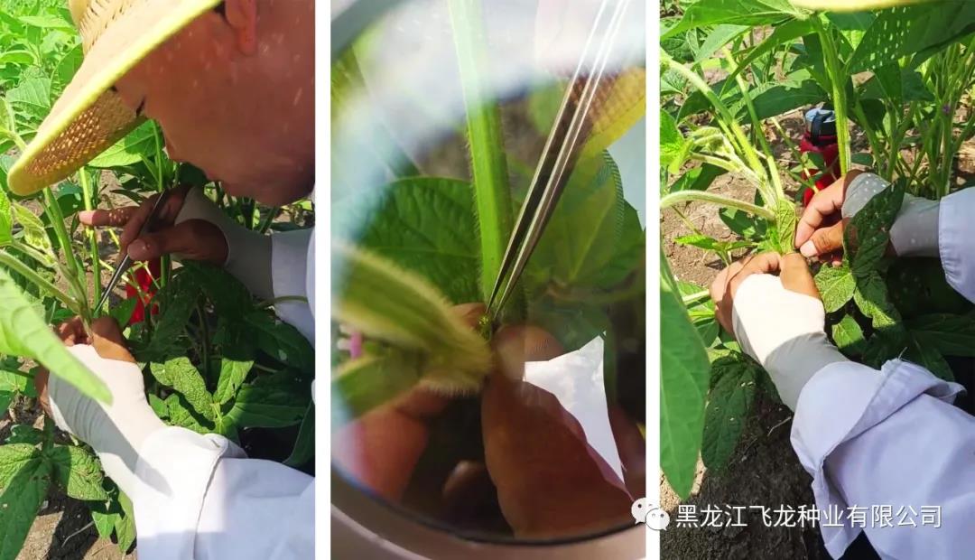 1640655530712262.jpg 7.jpg