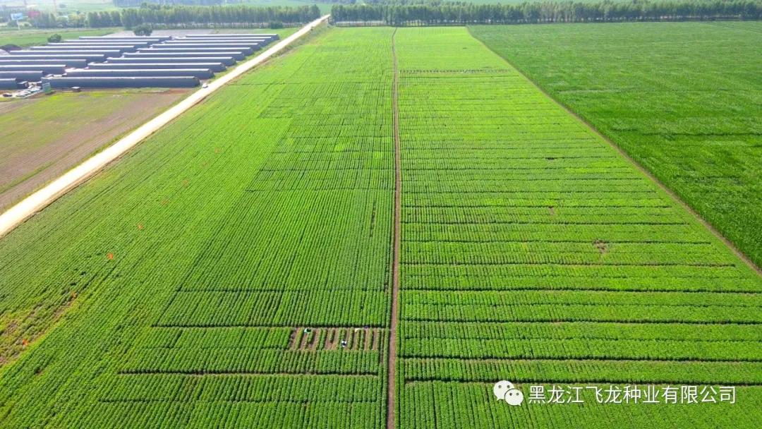 1640655536490390.jpg 8.jpg